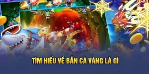 ban ca vang 88clb